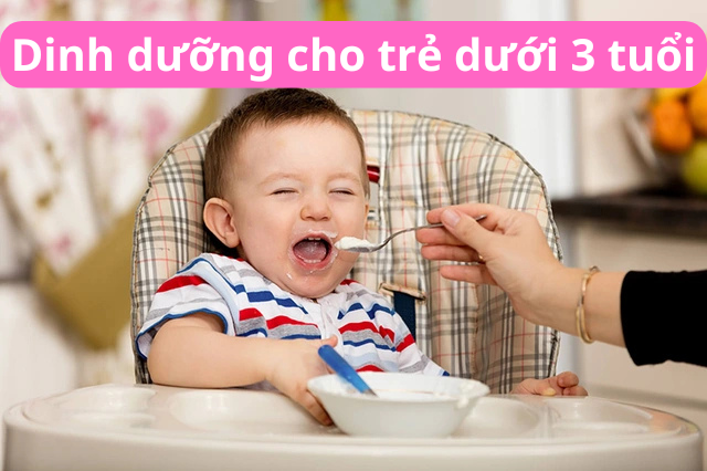 /thumbnail.php?w=320&img=/uploads/minh-hoa/tre-duoi-3-tuoi-can-bo-sung-gi-de-phat-trien-tot-1740979454.pngTrẻ Dưới 3 Tuổi Cần Bổ Sung Gì Để Phát Triển Tốt?